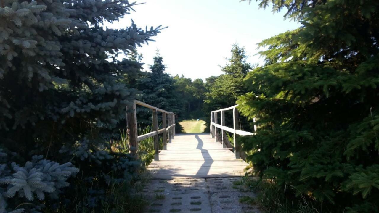 Rivendell Mielno Villa Mielno  Kültér fotó