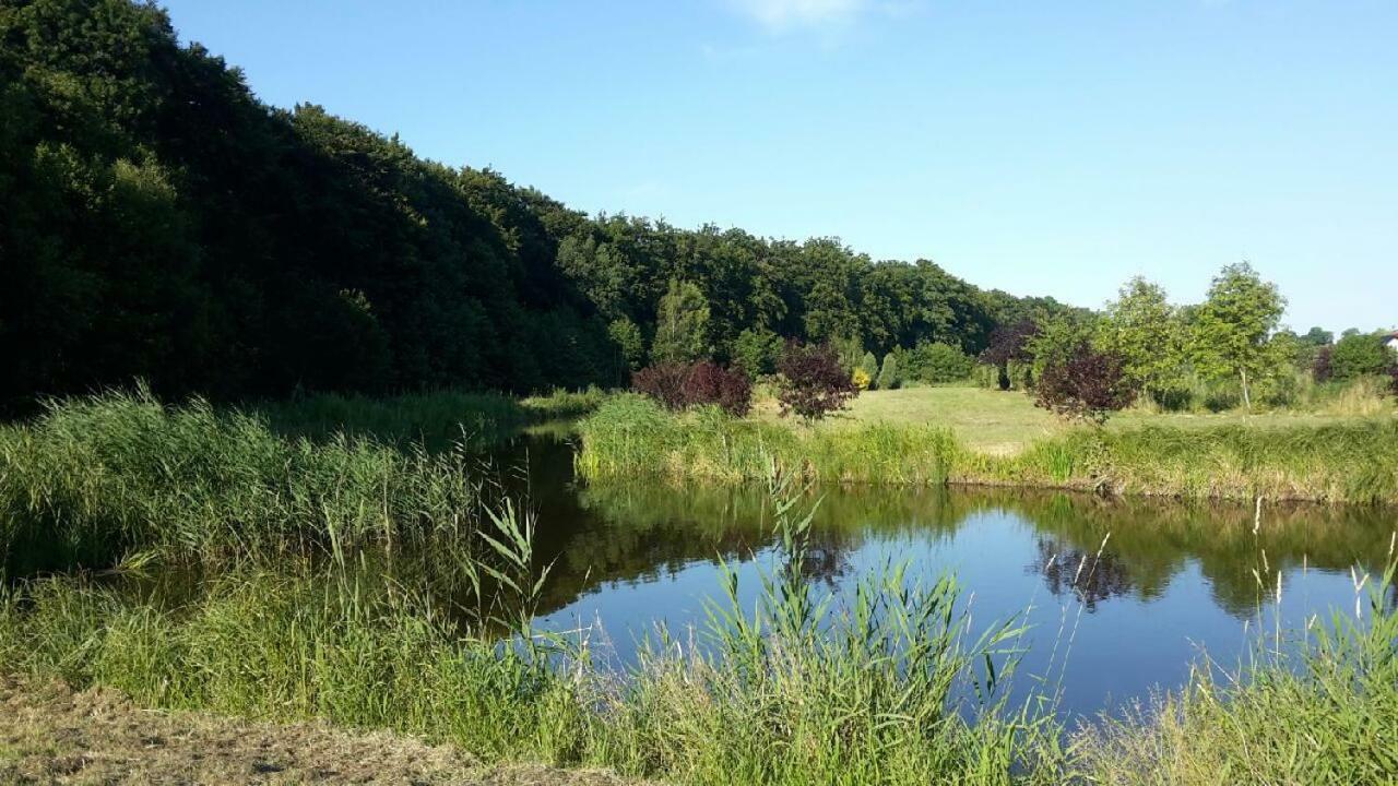 Rivendell Mielno Villa Mielno  Kültér fotó